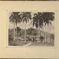 Vivajagua, “Casa Del Mar,” Residence of John F. Atcheson<br />
